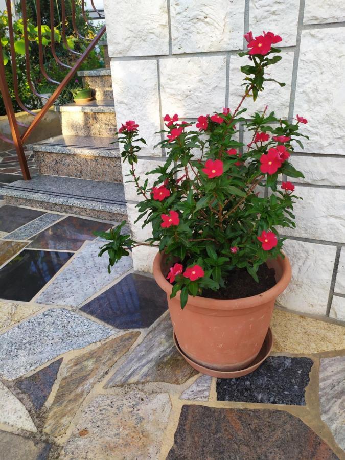 Apartments Samodol Vodice Esterno foto